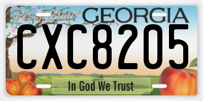 GA license plate CXC8205