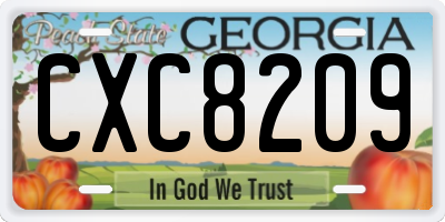 GA license plate CXC8209