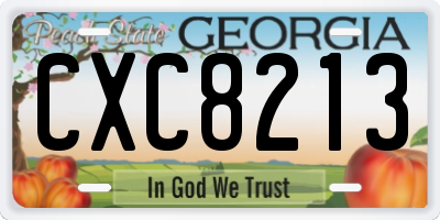 GA license plate CXC8213
