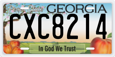GA license plate CXC8214