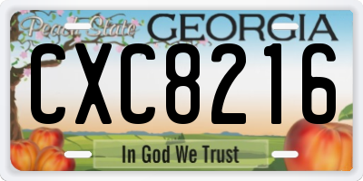GA license plate CXC8216