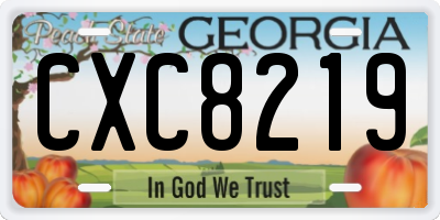 GA license plate CXC8219