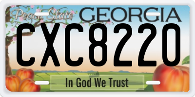 GA license plate CXC8220
