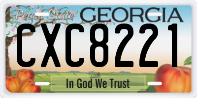 GA license plate CXC8221