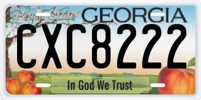 GA license plate CXC8222