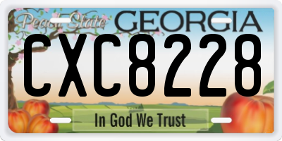 GA license plate CXC8228