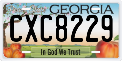 GA license plate CXC8229