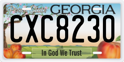 GA license plate CXC8230