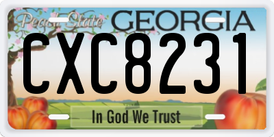 GA license plate CXC8231