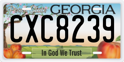 GA license plate CXC8239