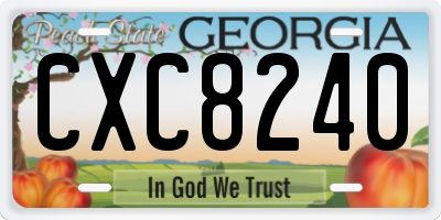 GA license plate CXC8240