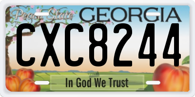 GA license plate CXC8244