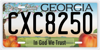 GA license plate CXC8250