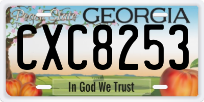 GA license plate CXC8253