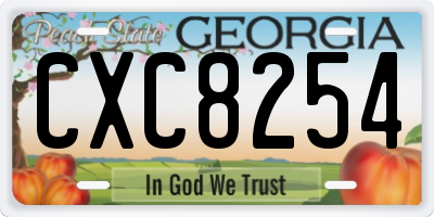 GA license plate CXC8254