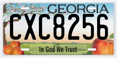 GA license plate CXC8256