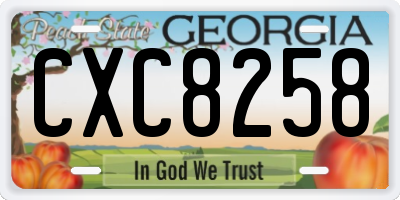 GA license plate CXC8258