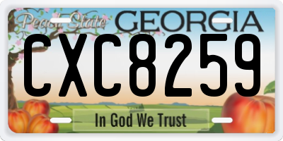 GA license plate CXC8259