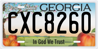GA license plate CXC8260