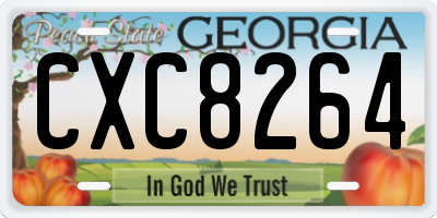GA license plate CXC8264