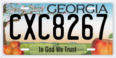 GA license plate CXC8267