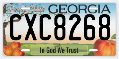 GA license plate CXC8268