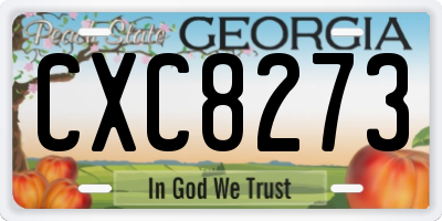 GA license plate CXC8273
