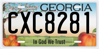 GA license plate CXC8281