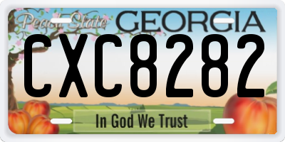 GA license plate CXC8282