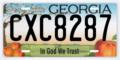 GA license plate CXC8287