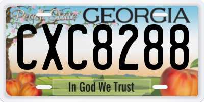 GA license plate CXC8288