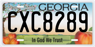 GA license plate CXC8289