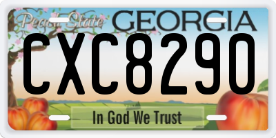 GA license plate CXC8290