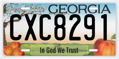 GA license plate CXC8291