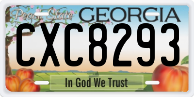 GA license plate CXC8293