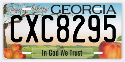 GA license plate CXC8295