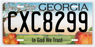 GA license plate CXC8299
