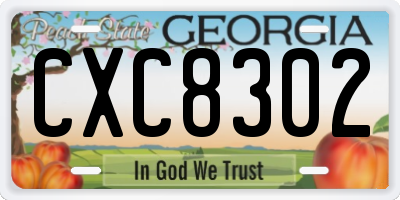 GA license plate CXC8302