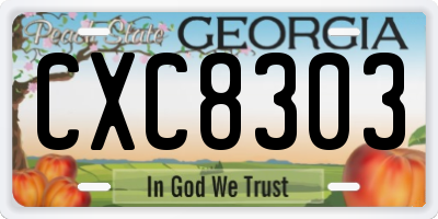 GA license plate CXC8303