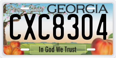 GA license plate CXC8304