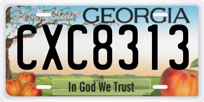 GA license plate CXC8313