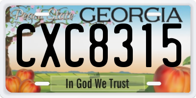 GA license plate CXC8315