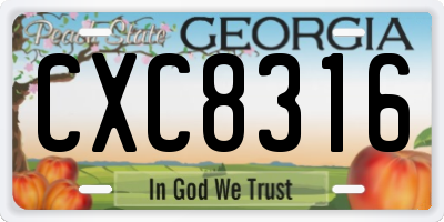 GA license plate CXC8316
