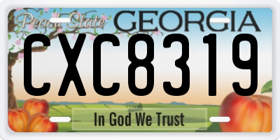GA license plate CXC8319