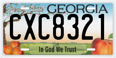 GA license plate CXC8321