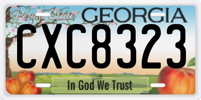 GA license plate CXC8323