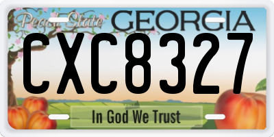 GA license plate CXC8327