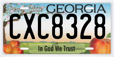 GA license plate CXC8328