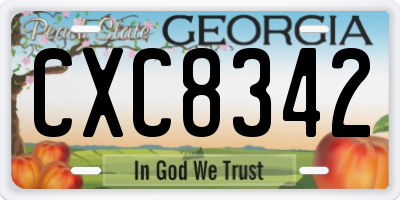 GA license plate CXC8342
