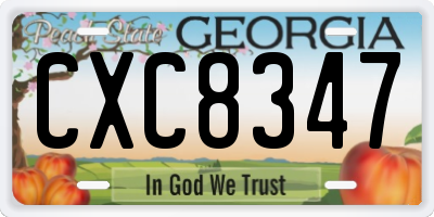 GA license plate CXC8347